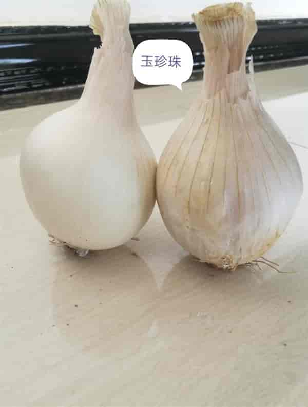华裕玉珍珠