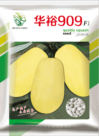 华裕909（杂交一代）