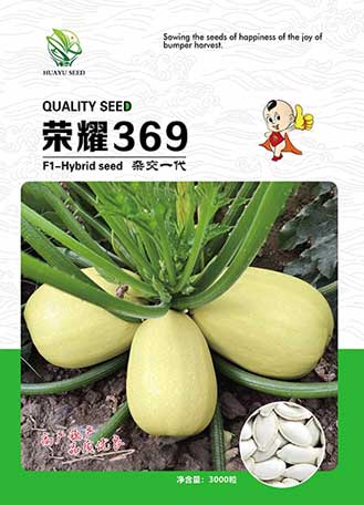 荣耀369