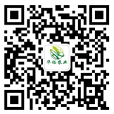 微信公众号
